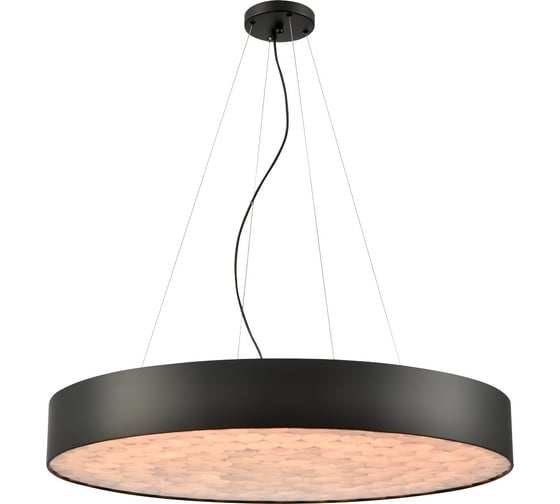 Изображение товара Подвесной светодиодный светильник Wertmark EDERA WE510.02.723