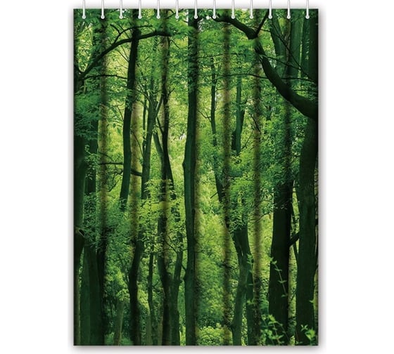 Изображение товара Штора для ванной HAIBA лес HB74060