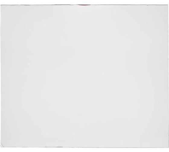 Изображение товара Пластина защитная поликарбонатная (50 шт; 133х114 мм) для маски VICTOR ПТК 00000019127