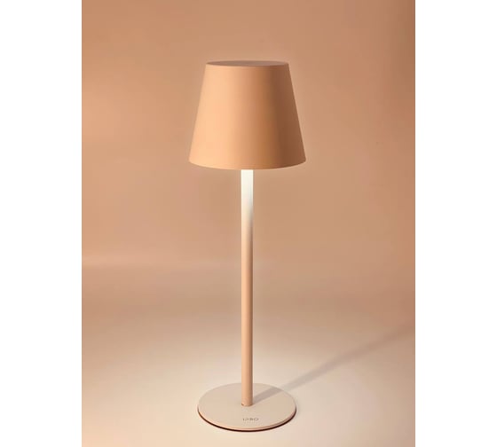 Изображение товара Настольный светильник IPRO Limona 2.5Вт 5В 14000