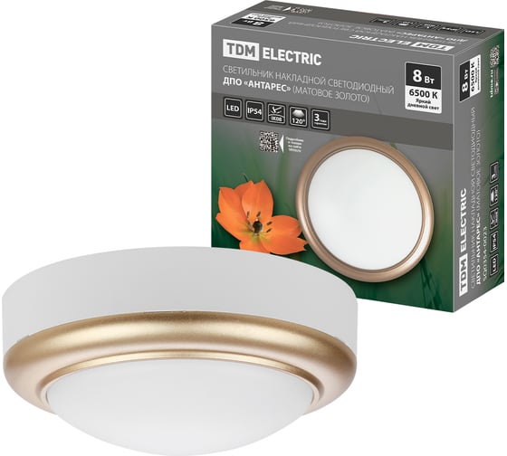 Изображение товара Светильник накладной TDM ELECTRIC LED ДПО "Антарес" 8Вт 6500К круг 140x58 мм мат.золото IP54 TDM SQ0354-0023