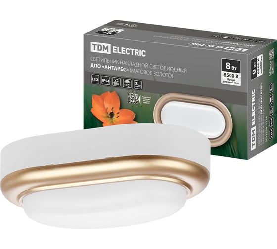 Изображение товара Светильник накладной TDM ELECTRIC LED ДПО "Антарес" 8Вт 6500К овал 168x100x58 мм мат.золото IP54 TDM SQ0354-0024
