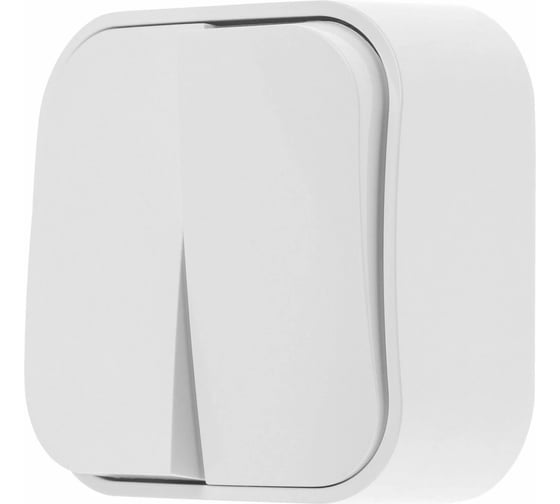 Изображение товара Выключатель 2 клавишный LEIDEN ELECTRIC (открытый, 10А) белый, Bailly, 806002