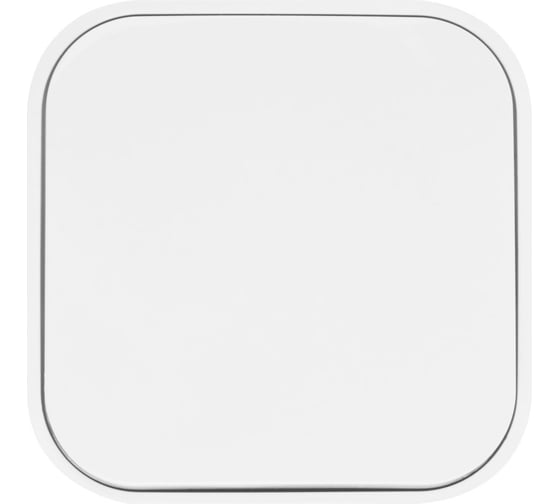 Изображение товара Выключатель 1 клавишный LEIDEN ELECTRIC (открытый, 10А) белый, Bailly, 806001