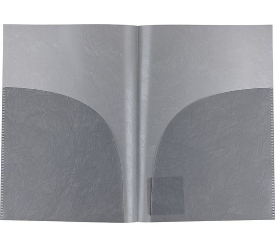 Изображение товара Папка-уголок Expert Complete 2 кармана, 20 шт., A4, 180 мкм, Premier серый new, EC21230015 721043