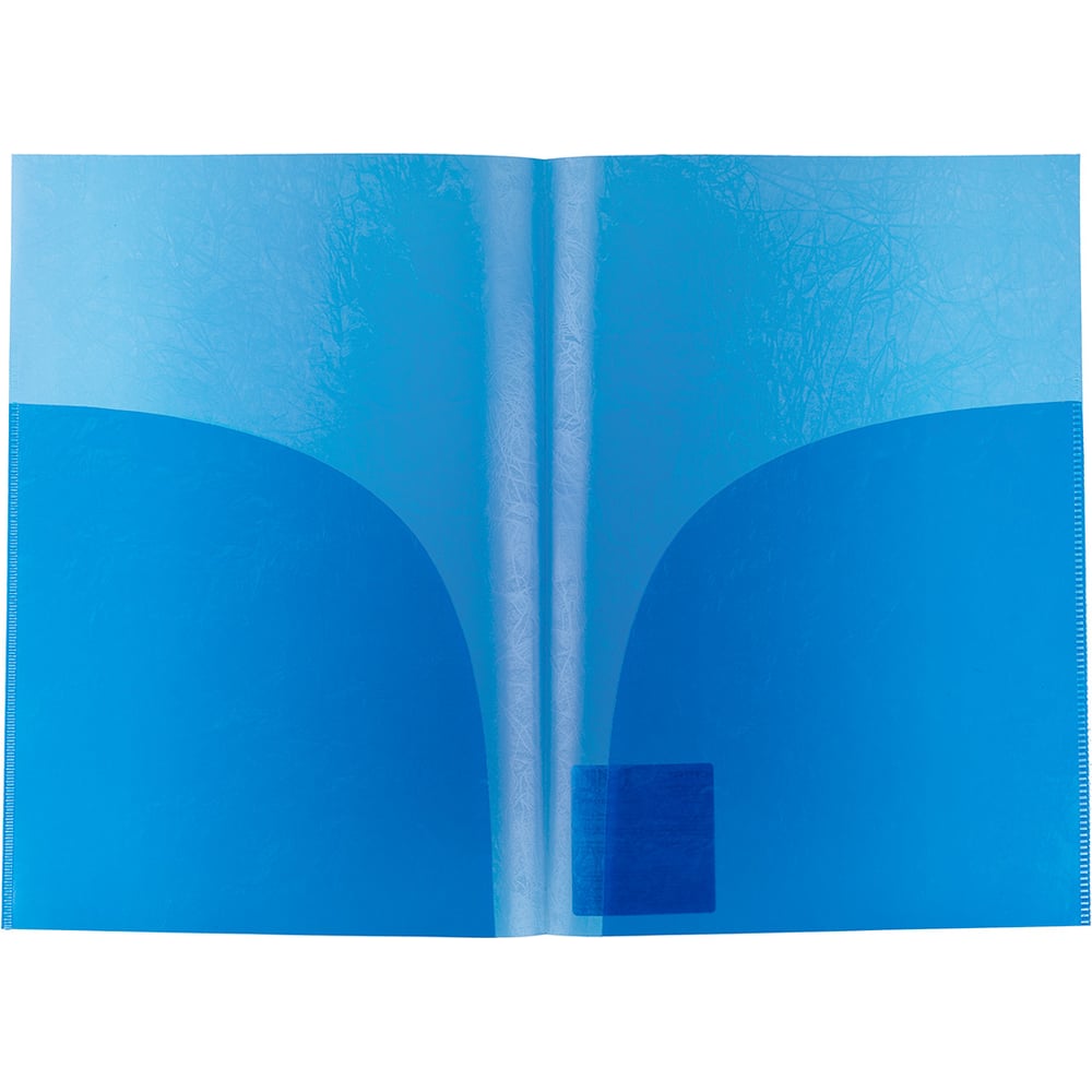 Изображение товара Папка-уголок Expert Complete с 2 карманами, 20 шт., формат A4, синий