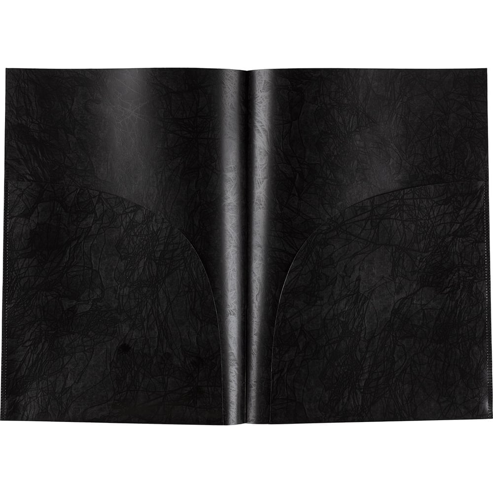 Изображение товара Папка-уголок Expert Complete 2 кармана A4 черный 20 шт