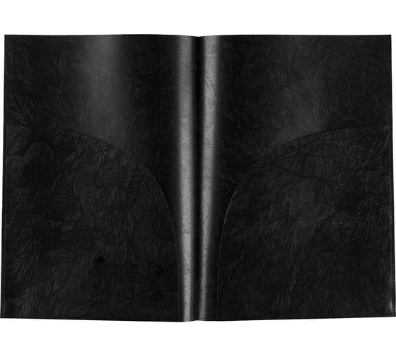 Изображение товара Папка-уголок Expert Complete 2 кармана, 20 шт., A4, 180 мкм, Premier черный new, EC21230001 721042