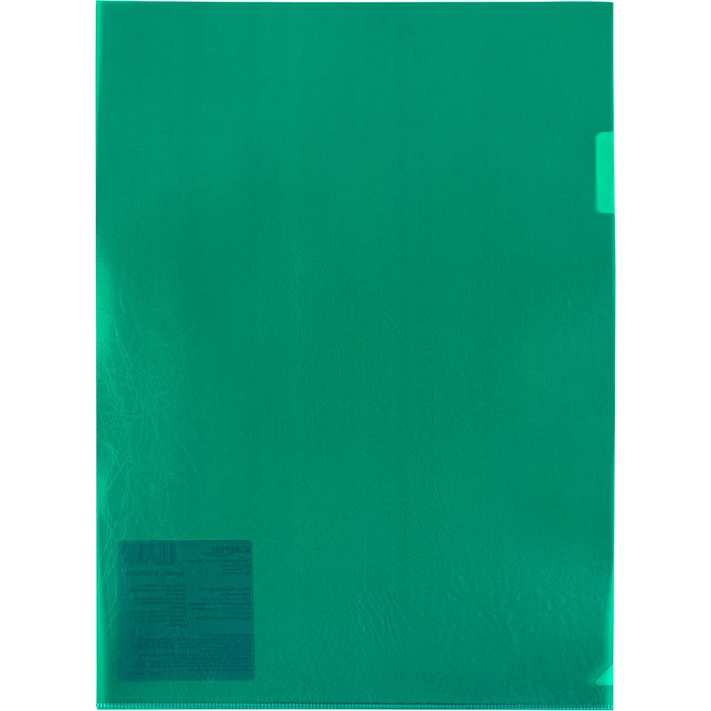 Изображение товара Папка-уголок Expert Complete A4, 20 шт., зеленый, 180 мкм