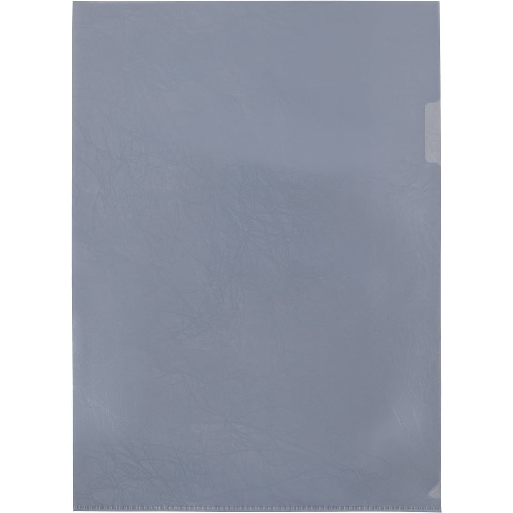 Изображение товара Папка-уголок Expert Complete A4, 20 шт., 180 мкм, серый