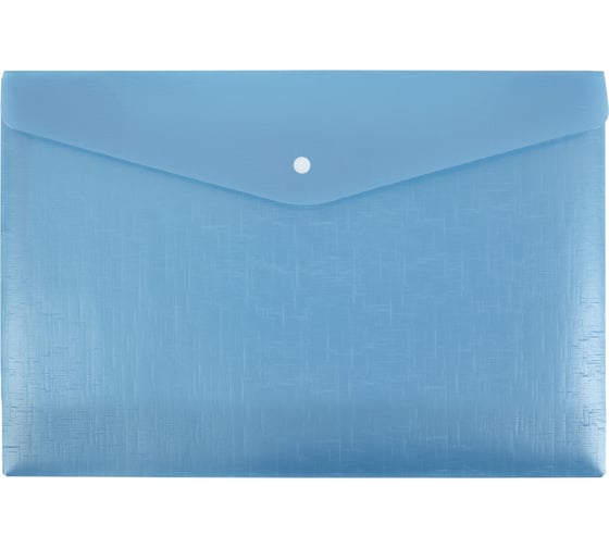 Изображение товара Папка-конверт Expert Complete 20 шт., с кнопкой, A4, 180 мкм, Trend ICEberries голубика, ЕС211120071 709326