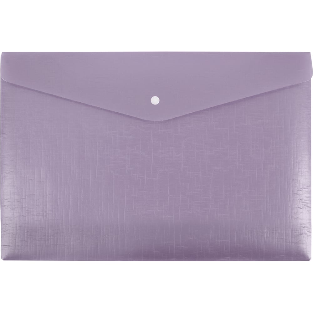 Изображение товара Папка-конверт Expert Complete 20 шт. A4 ежевика с кнопкой