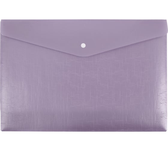 Изображение товара Папка-конверт Expert Complete 20 шт., с кнопкой, A4, 180 мкм, Trend ICEberries ежевика, ЕС211120072 709327