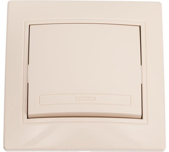 Изображение товара Кнопка включения Intro Plano 110902 10А, 250В, IP20, СУ, Plano, слоновая кость Б0053832