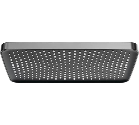Изображение товара Тропический душ RAGLO 340x220мм, графит R451.52.09