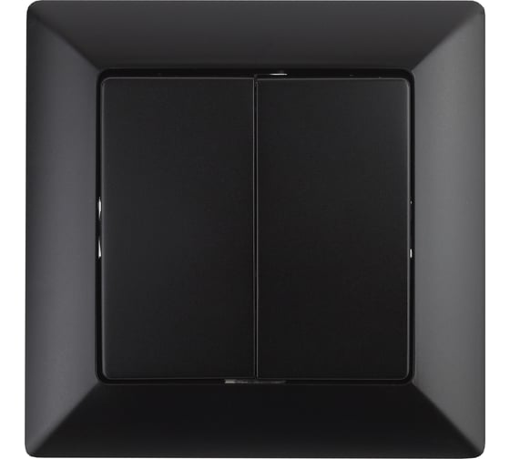 Изображение товара Переключатель Intro Solo 410705 двухклавишный, 10А, 250В, IP20, СУ, антрацит Б0053613