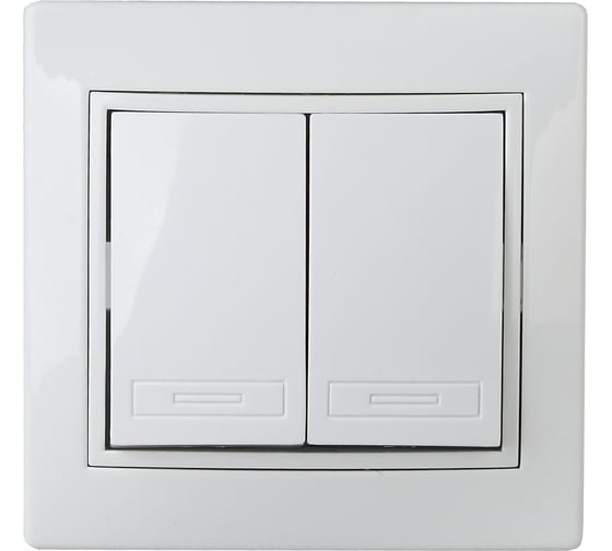 Изображение товара Переключатель Intro Plano 110701 двухклавишный, 10А250В, IP20, СУ, белый Б0053802