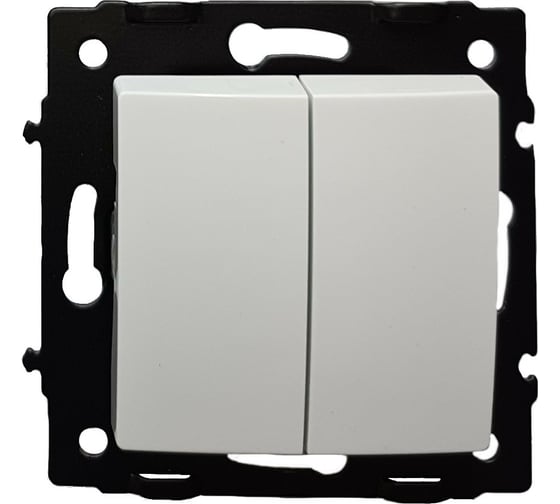 Изображение товара 2 клавишный выключатель ECON Камелия 10А белый без рамки K002B