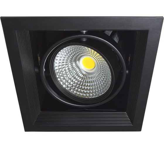 Изображение товара Встраиваемый карданный светильник IMEX LED, 1х20W, BK IL.0006.2100
