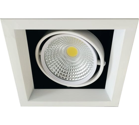 Изображение товара Встраиваемый карданный светильник IMEX LED 1х20W, WH IL.0006.2115