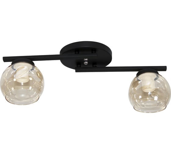 Изображение товара Светильник потолочный ЭЛЕТЕХ Альфа 121 черн. (Плафон 8425) НПБ 01-2x60-121 Е27 1005405387