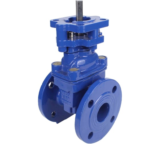 Изображение товара Задвижка клиновая DN.ru 30ч939р GGG50-GGG50-EPDM-BLUE Ду250, Ру10/16, под электропривод D040-07716