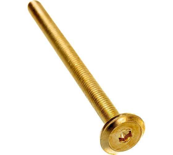 Изображение товара Мебельный винт ЕВРОПАРТНЕР с пл. гол. латунир. М6х80, 16 шт. 6 1803 2