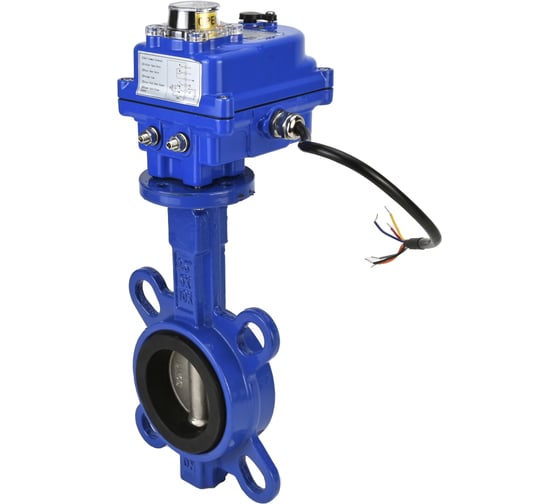 Изображение товара Затвор DN.ru GGG50-316L-EPDM Ду50 Ру16 с электроприводом 003 blue 24В D050-11932