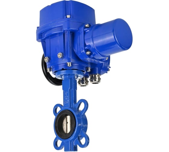 Изображение товара Затвор DN.ru GGG50-316L-EPDM Ду50 Ру16 с электроприводом QT-W (M)-005 220В D050-12808