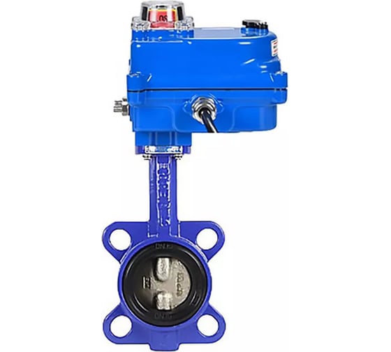 Изображение товара Затвор DN.ru GG25-316L-NBR Ду50 Ру16 с электроприводом 003 blue 24В D050-11934