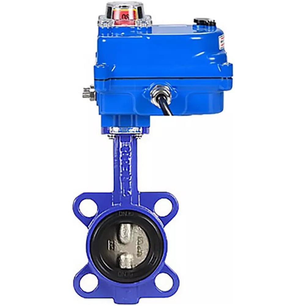Изображение товара Затвор DN.ru GG25-316L-NBR Ду50 Ру16 с электроприводом 003 blue 12В D050-11952