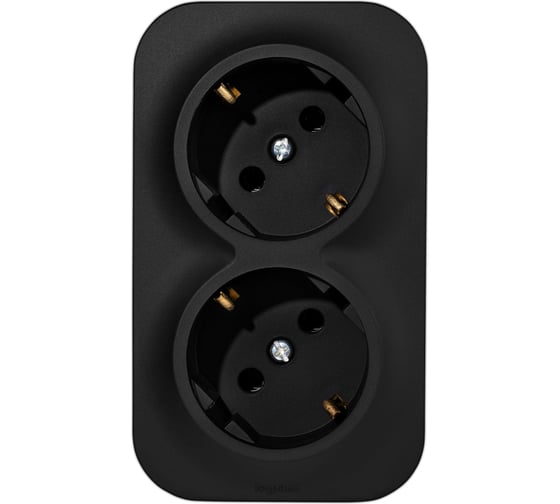 Изображение товара Розеточный блок двойной Legrand с заземлением Quteo с предварительным подключением без шторок IP20 16А 250В винтовые зажимы накладной монтаж - черный матовый 782470