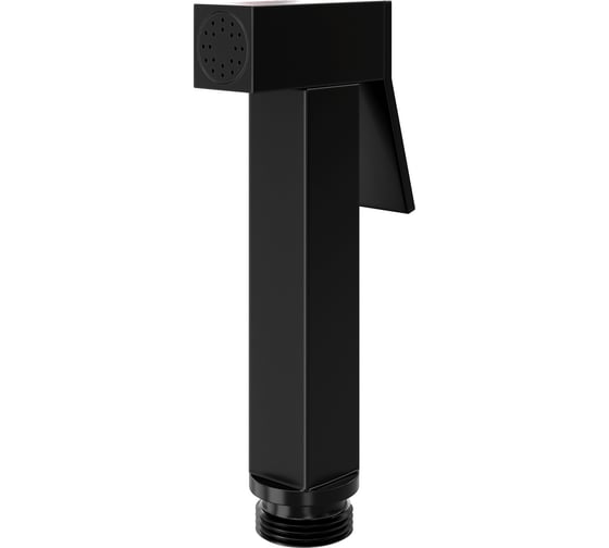 Изображение товара Гигиеническая лейка с фиксатором WasserKRAFT A212