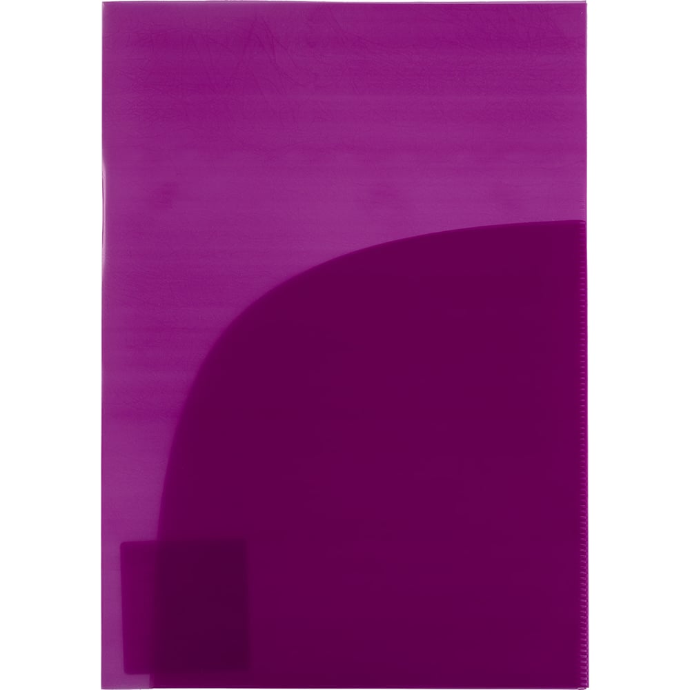 Изображение товара Папка-уголок Expert Complete A4 20 шт. 180 мкм пурпурный EC210030222