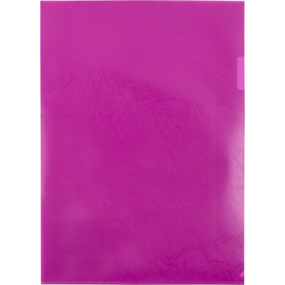 Изображение товара Папка-уголок Expert Complete 20 шт. A4 180 мкм пурпурный Trend NEON EC210030022