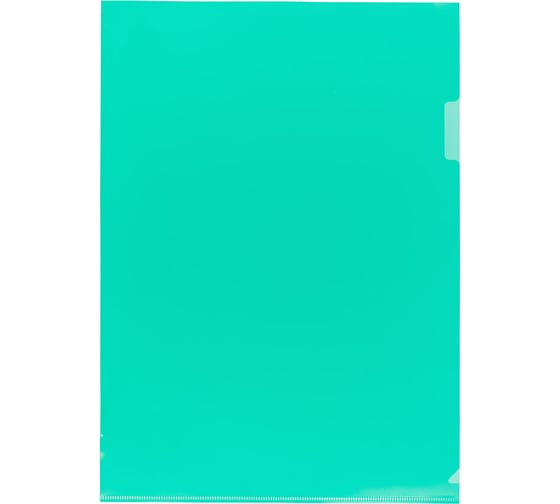 Изображение товара Папка-уголок Expert Complete 20 шт. A4 120 мкм песок Classic зеленый 2202093 580714