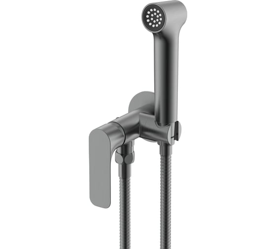 Изображение товара Смеситель для гигиенического душа встраиваемый RAGLO графит R03.52.09