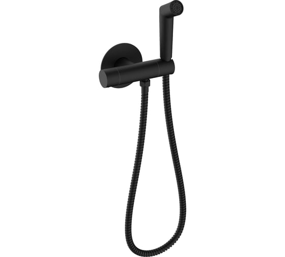 Изображение товара Смеситель для гигиенического душа встраиваемый RAGLO с термостатом черный R23.56.06