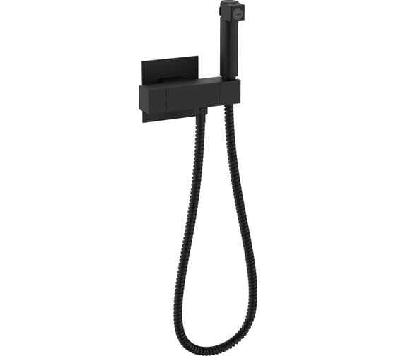 Изображение товара Смеситель для гигиенического душа встраиваемый RAGLO с термостатом черный R24.56.06