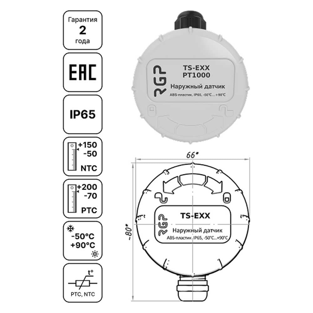 Изображение товара Датчик температуры наружного воздуха RGP TS-E00 PT1000 для систем климат-контроля
