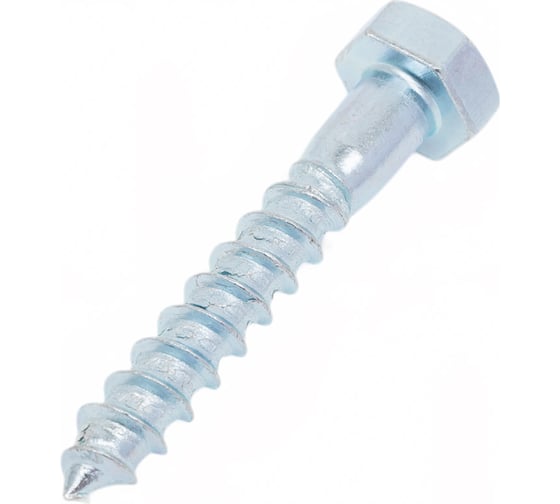 Изображение товара Болт сантехнический ЖЕСТЬ DIN 571, 10x60 мм, 2 шт., европодвес УТ-00004622