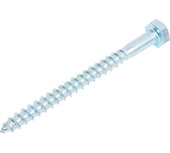 Изображение товара Болт сантехнический ЖЕСТЬ DIN 571, 10x120 мм, 2 шт., европодвес УТ-00004617