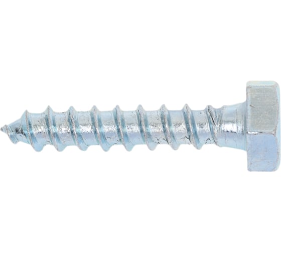 Изображение товара Болт сантехнический ЖЕСТЬ DIN 571, 10x50 мм, 2 шт., европодвес УТ-00005805