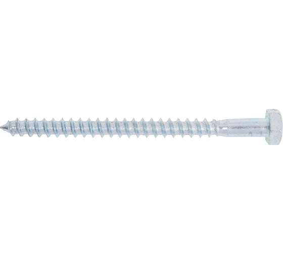 Изображение товара Болт сантехнический ЖЕСТЬ DIN 571, 6x80 мм, 2 шт., европодвес УТ-00004631