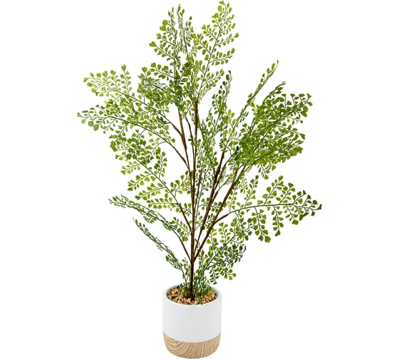 Изображение товара Папоротник ВеЩицы курчавый в цементном горшке, Д125 Ш125 В710 Mia3