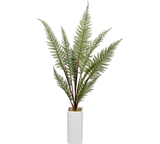 Изображение товара Папоротник ВеЩицы в керамическом горшке, Д110 Ш110 В930 Mia6