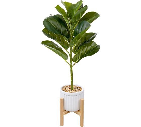 Изображение товара Фикус ВеЩицы в цементном горшке с подставкой из МДФ, Д140 Ш140 В690 Mia7