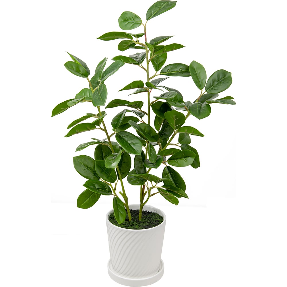 Изображение товара Мини дерево Вещицы в керамическом горшке 135x135x610 мм Mia4