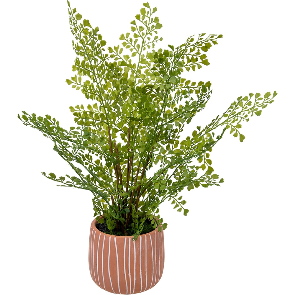 Изображение товара Папоротник ВеЩицы курчавый в керамическом горшке 480 мм искусственное растение