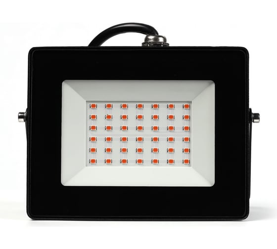 Изображение товара Прожектор Smartbuy FL ФИТО 30W/1300K/IP65 SBL-FLFITO-30-65K